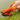 Neoprene Socks for Cold Water Swimmers
