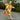 Changing Robes