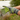 Neoprene 3MM Swim Gloves - Grey/Green